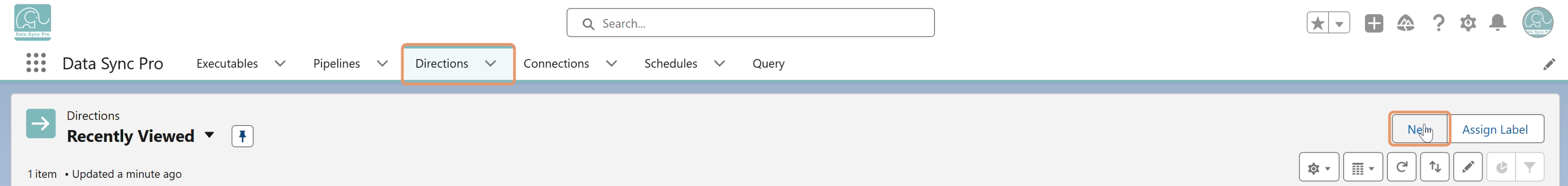 Click the New button on the Directions tab